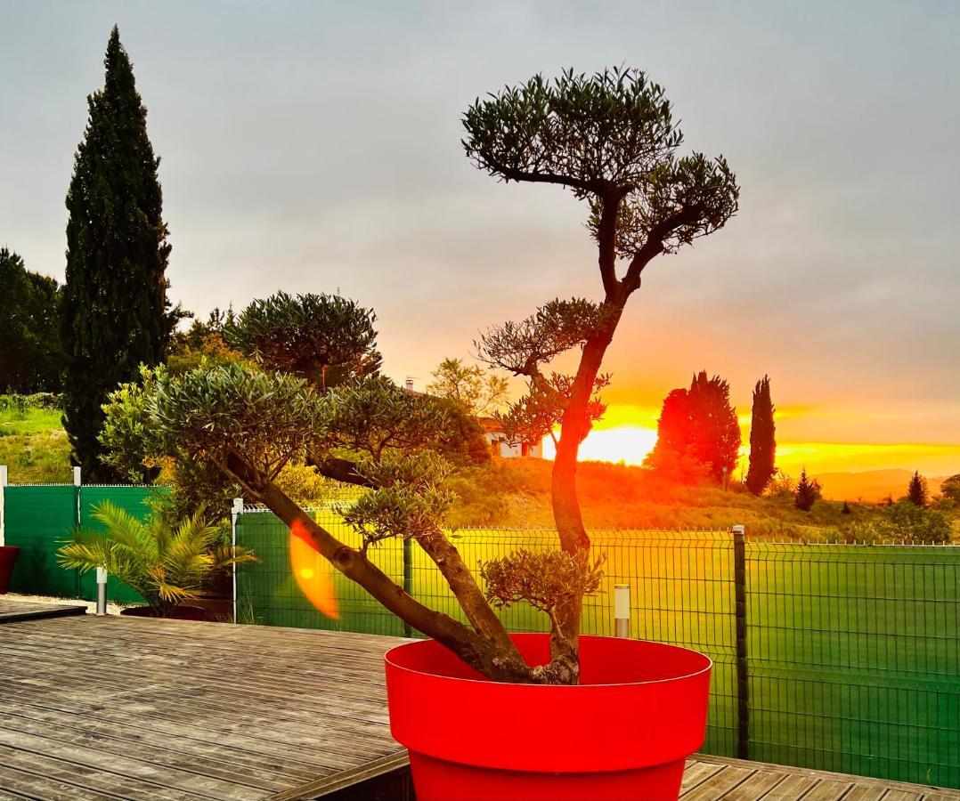 Havre De Paix, Vue Pano, Terrasse, Piscine, Nature. Villa Limoux Exterior photo